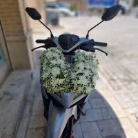 گل آرایی مجالس‌ دسته گل وماشین عروس باکس گل تاج ت|خدمات پذیرایی، مراسم|شیراز, شاهچراغ|دیوار