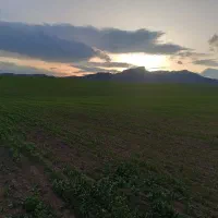 زمین 44/000 متر اردبیل