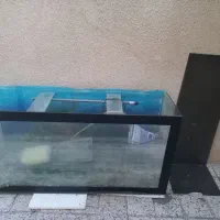 اکواریوم