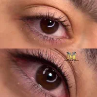 شیدینگ لب میکرو ابرو بن مژه|خدمات آرایشگری و زیبایی|شیراز, محراب|دیوار