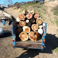 خریدوفروش چوبهای باغی وجنگلی|خدمات باغبانی و درختکاری|سورک, |دیوار