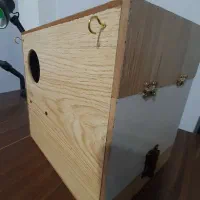 لونه تخمگذاری