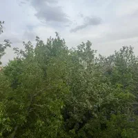 کلنگی ۱۱۶مترنقلی با بر۸ با۸۰ متر بنا