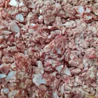 غذا رسانی حیوانات شامل اسکلت مرغ و ضایعات