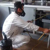 سمپاشی تخصصی پاک زیست با بیست درصد تخفیف