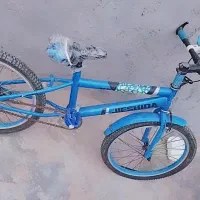 دو عدد دوچرخه شماره ۲۰|دوچرخه، اسکیت، اسکوتر|بوشهر, |دیوار