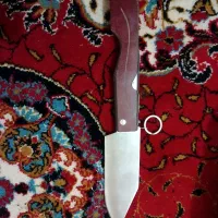 چاقو ضامن دار|کوهنوردی و کمپینگ|سنندج, |دیوار