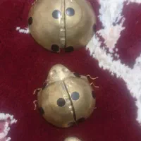 کفشدوزک جنس برنز