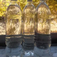 عرق نعنای ارگانیک