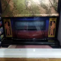 بخاری سالم وکاملا بی خطر