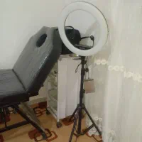 نورسفیدوزرد