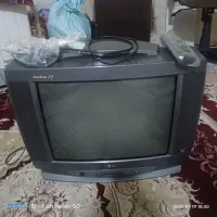 تلویزیون