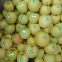 سفارش انواع میوه مجالس و مراسم