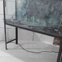 فروش یک عدد اکواریوم