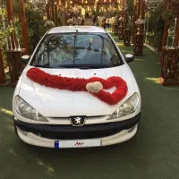 ۲۰۶ تیپ۲ فرانسه