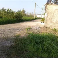 یک قطعه زمین|فروش زمین و ملک کلنگی|رشت, سیا اسطلخ|دیوار