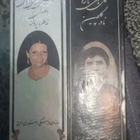 کاستهای کلکسیونی گلچین و پروانه