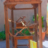 سلام قفس شیک و محکم وزیبا