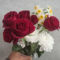 نیازمند-منزل-رهن-و-اجاره