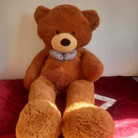 خرس دو متری|اسباب‌‌بازی|اندیشه, اندیشه فاز ۵|دیوار