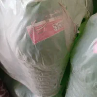 ضدیخ فوکس و آب رادیات قطران