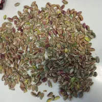 مغز پسته سبز گلدار ۲۰۰ کیلو امسالی