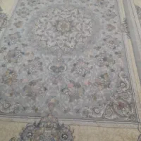 فرش پناه نقره ای یکی نه متر یکی دوازده متری|فرش|میناب, |دیوار