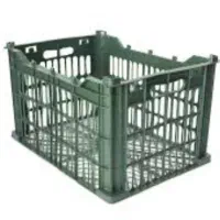 انار درجه یک