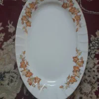 فروش دیس بیضی شکل