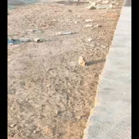 زمین در حمیدیه