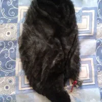 خیگ