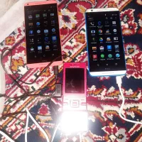 سالم کارتون هم دارند بقیه نه