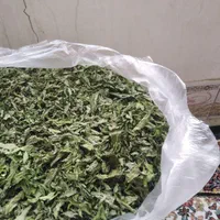 نعنا خشک امسالی