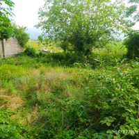 زمین مسکونی کلاچای نوده|فروش زمین و ملک کلنگی|کلاچای, |دیوار