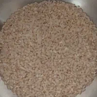 نیم دانه هاشمی درجه ۱