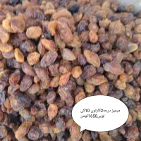 کشمش میمیز امسالی قیمت کشاورز|عمده‌فروشی|سبزوار, مدرس|دیوار