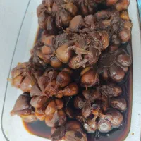 سیر ترش شمال