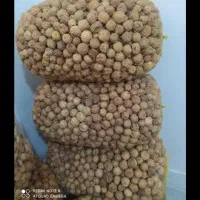 خرید لیمو خشک . ترکیده. پرک لیمو. لیمو خاگی