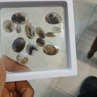 شجر مناسب انگشتر گردنبند