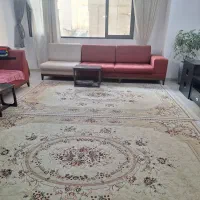 فرش ۵۰۰ شانه مشهد