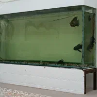 اکواریوم بزرگ