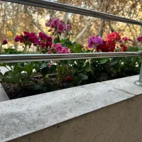خدمات و فروش گل های اپارتمانی و باغچه ای