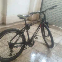 سلام ویوا اصل