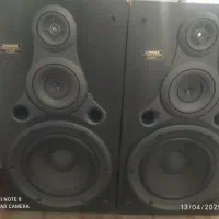 جفت باند پایونر