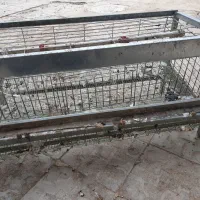 قفس بلدرچین