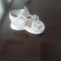گمشده