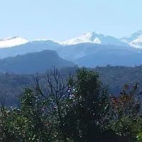 کلبه سوئیسی جنگلی ۱ خوابه. ویو ابدی رویایی، بهشت|اجارهٔ کوتاهمدت ویلا و باغ|عباسآباد, |دیوار