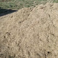 کاه لوبیا حدودا ۴ تن