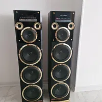 اسپیکر دو قلو ایستاده