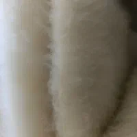 شال و کلاه کرم رنگ|لباس|رشت, باهنر|دیوار